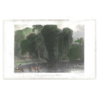 William Daniell : Scene near the Coast of Malabar