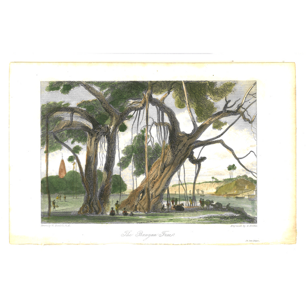 William Daniell : The Banyan Tree