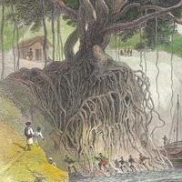 William Daniell : Banks of the Ganges (Coloured)