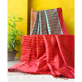 Pankaja Sethi: Palash Phool Ikat Saree