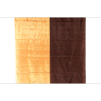 Gold & Brown Metallic Tissue Chanderi Saree - Fabric - Dupatta