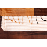 Gold & Brown Metallic Tissue Chanderi Saree - Fabric - Dupatta