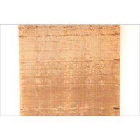 Kanchan Metallic Tissue Chanderi Saree - Fabric - Dupatta