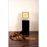 Kanchan Metallic Tissue Chanderi Saree - Fabric - Dupatta