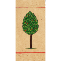 Miniature Tree 6
