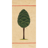 Miniature Tree 7