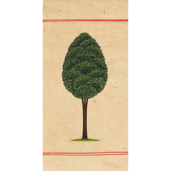 Miniature Tree 7