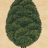 Miniature Tree 7