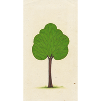 Miniature Tree 9