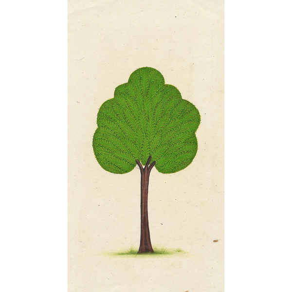 Miniature Tree 9