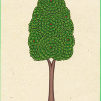 Miniature Tree 18