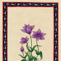 Floral Miniature 1