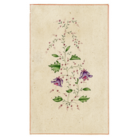 Floral Miniature 2