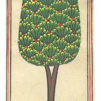 Miniature Tree 19