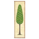 Miniature Tree 20