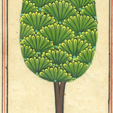 Miniature Tree 20