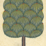 Miniature Tree 23