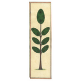 Miniature Tree 26