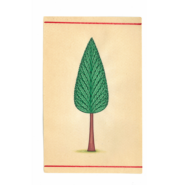 Miniature Tree 14