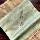 Dragonfly Chanderi Saree (Pale Green)