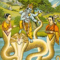Kaliya Daman Oleograph