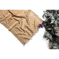 Beige Ikat Stole