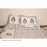 Jaipur Razai - Set of 2 Reversible Single Quilts (Bird)